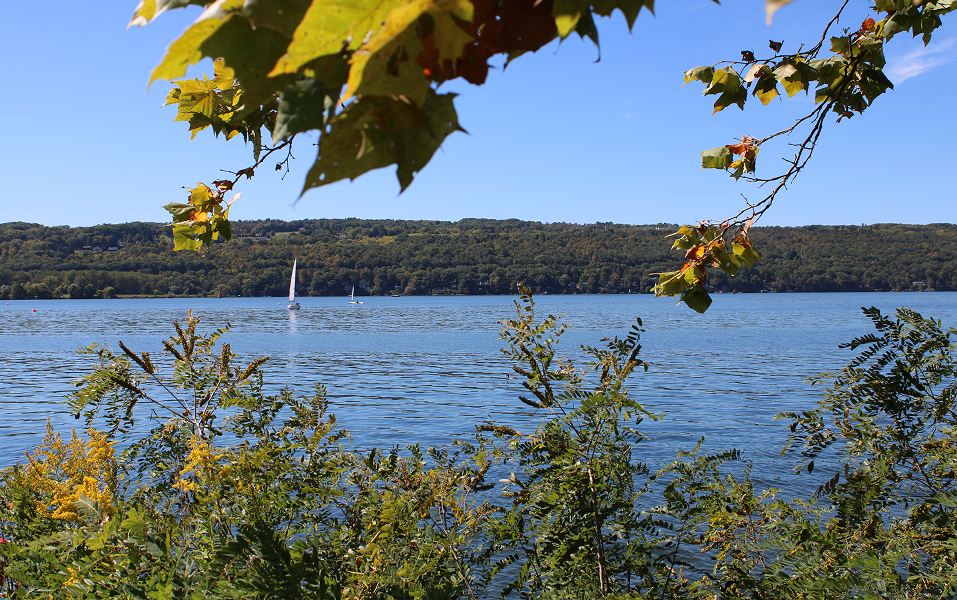 Cayuga Lake